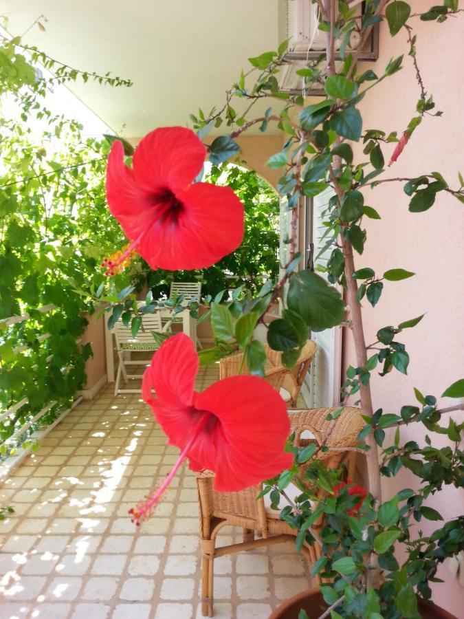 Apartment Irena *